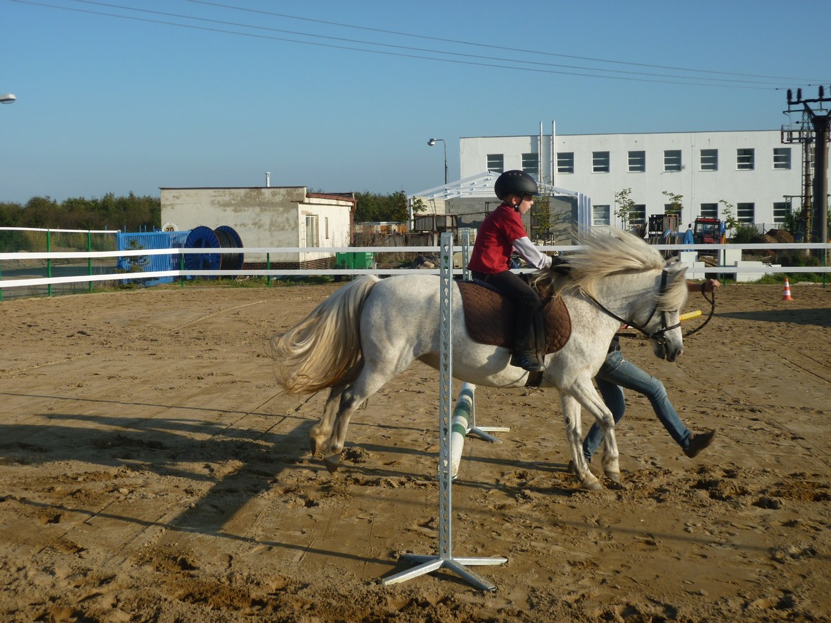 Ponyta s malm zkaznkem