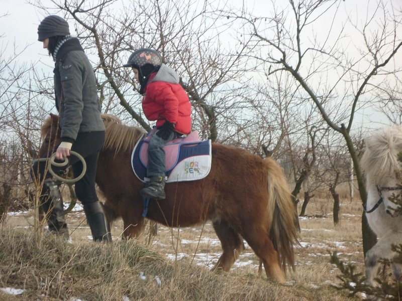 vyjka na ponkovi