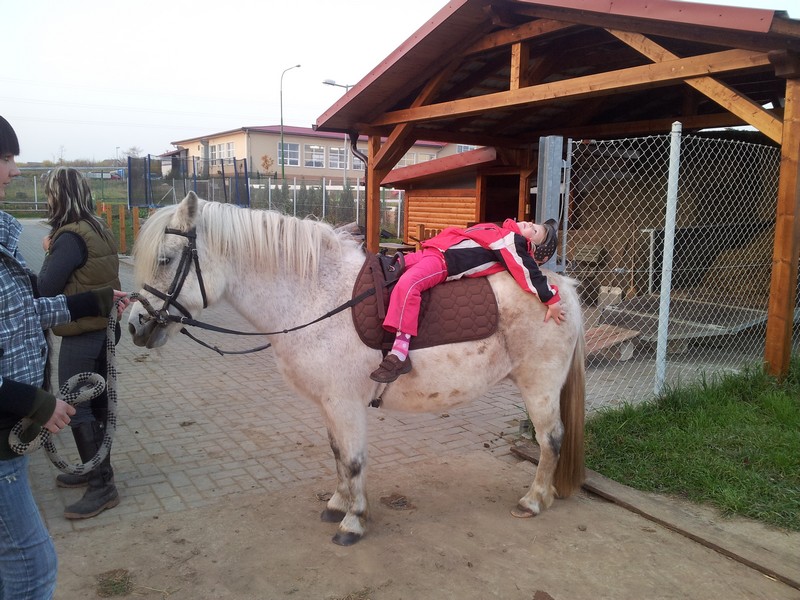 cvičení na koni