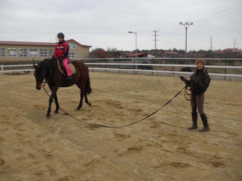 výuka jízdy na koni pomocí lonžování - připravujeme